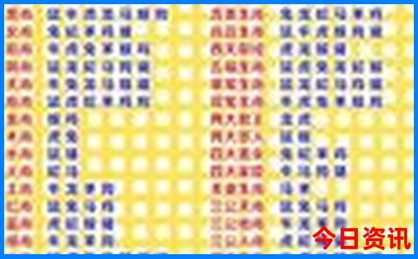一言九鼎打一码一肖